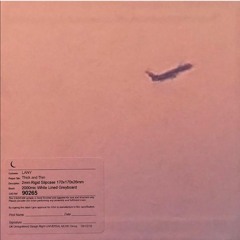 Thick And Thin - LANY
