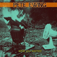 My Shazam Tracks - 2