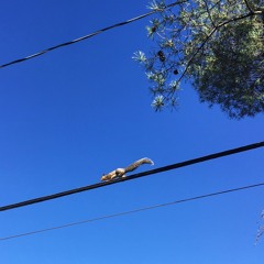 Sherbrooke Outskirts Denoised