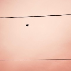 toa$ti tapes vol 01.20