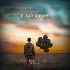 Owl City - Lucid Dream (Matthew Parker Remix)