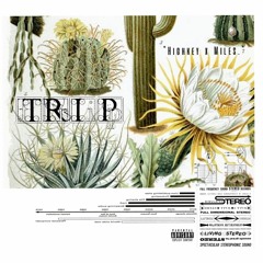 Trip (feat. Miles)