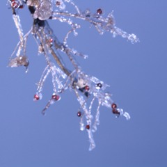 moscow, do you read me?