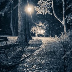 Santiago's Parks In The Dark