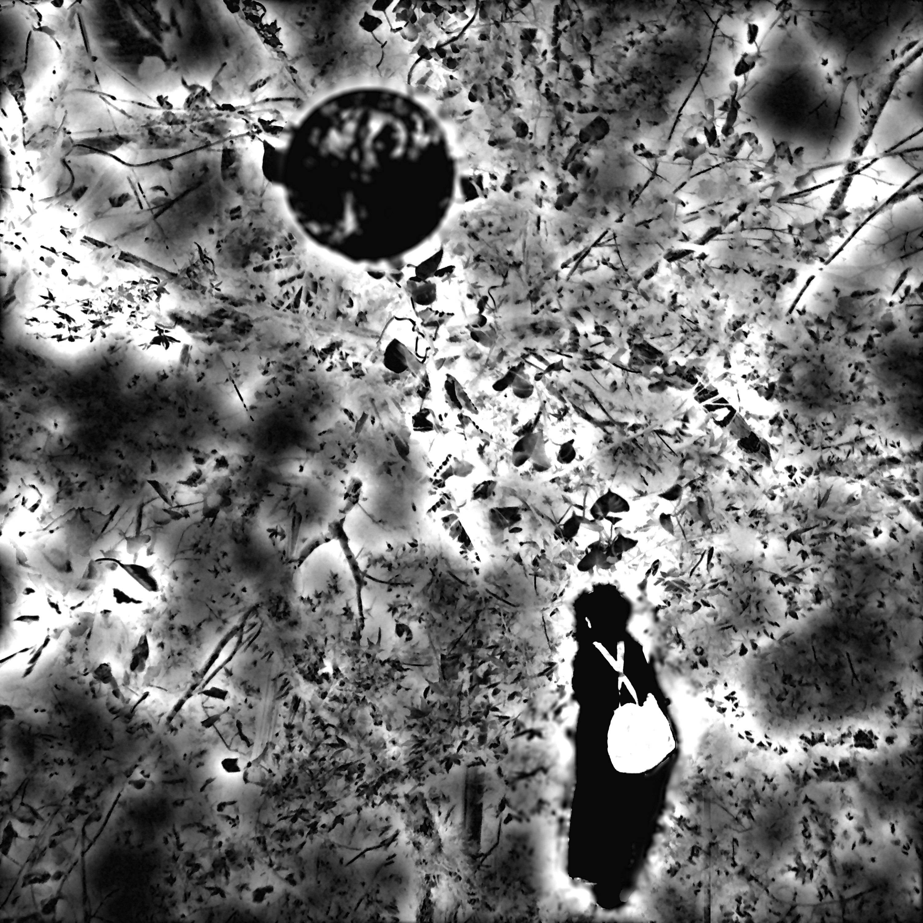 Systematic picnic under the black moon episode artwork