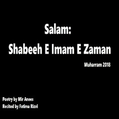 Shabeeh E Imam E Zaman