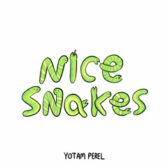 Nice Snakes