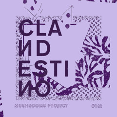 Clandestino 142 - Mushrooms Project
