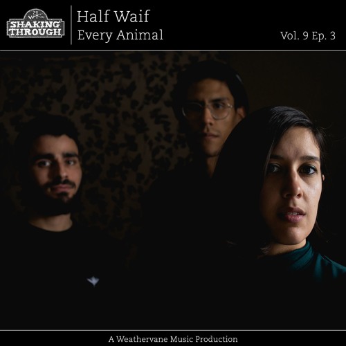 Half Waif - Every Animal (Shaking Through)