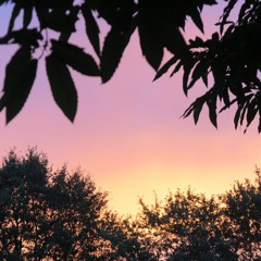 Exploration Sonore À La Ferme Des Champs Libres