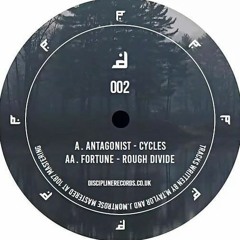 Antagonist - Cycles DISCIPLINE002 A -