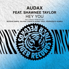 Audax & Shawnee Taylor - Hey You (Boogie Pimps Remix)