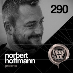 Norbert Hoffmann - Blind Spot 290