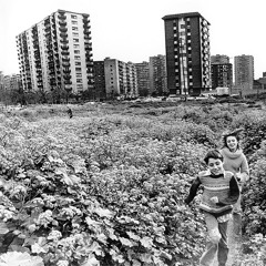 Chakk Berry (Original Live Mix)