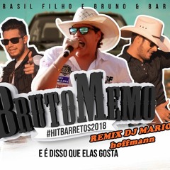 BRUTO MEMO - BRUNO E BARRETO (REMIX DJ MARIO hoffmann)