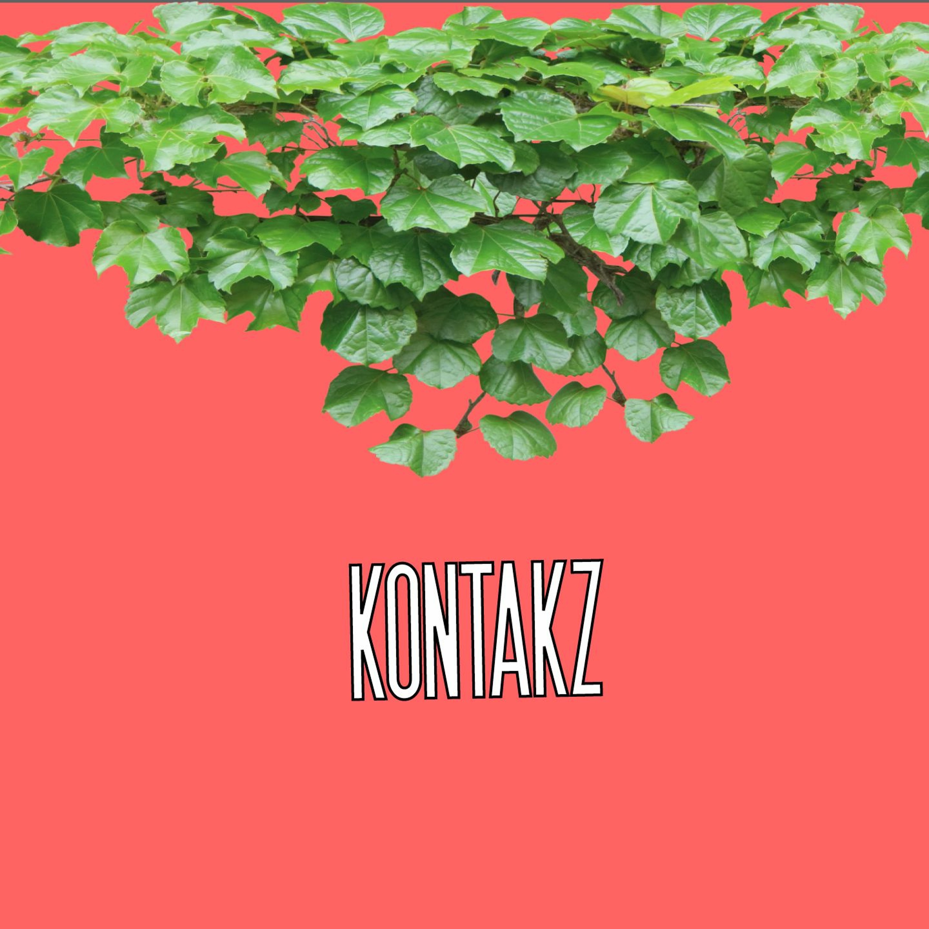 Kontakz