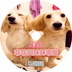 DJ冠廷 - 菲菲與妹妹專屬2018