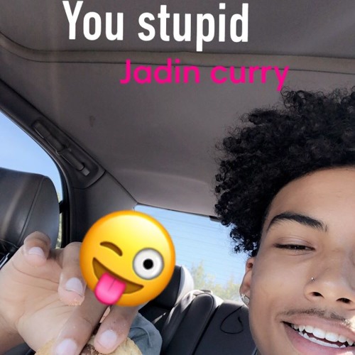 Jadin Curry - You Stupid