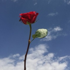 وسارعوا إلى مغفرة من ربكم | الأحد 13 محرم 1440هـ | د. عبدالله الجهني | تبليغ عبدالله باعفيف