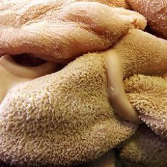 Most Dogfights Last Under 40 Seconds.