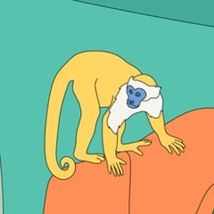 Andrew: forgot to do everything I want