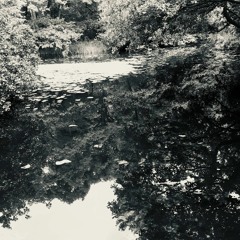 Take A Swim In My Mind