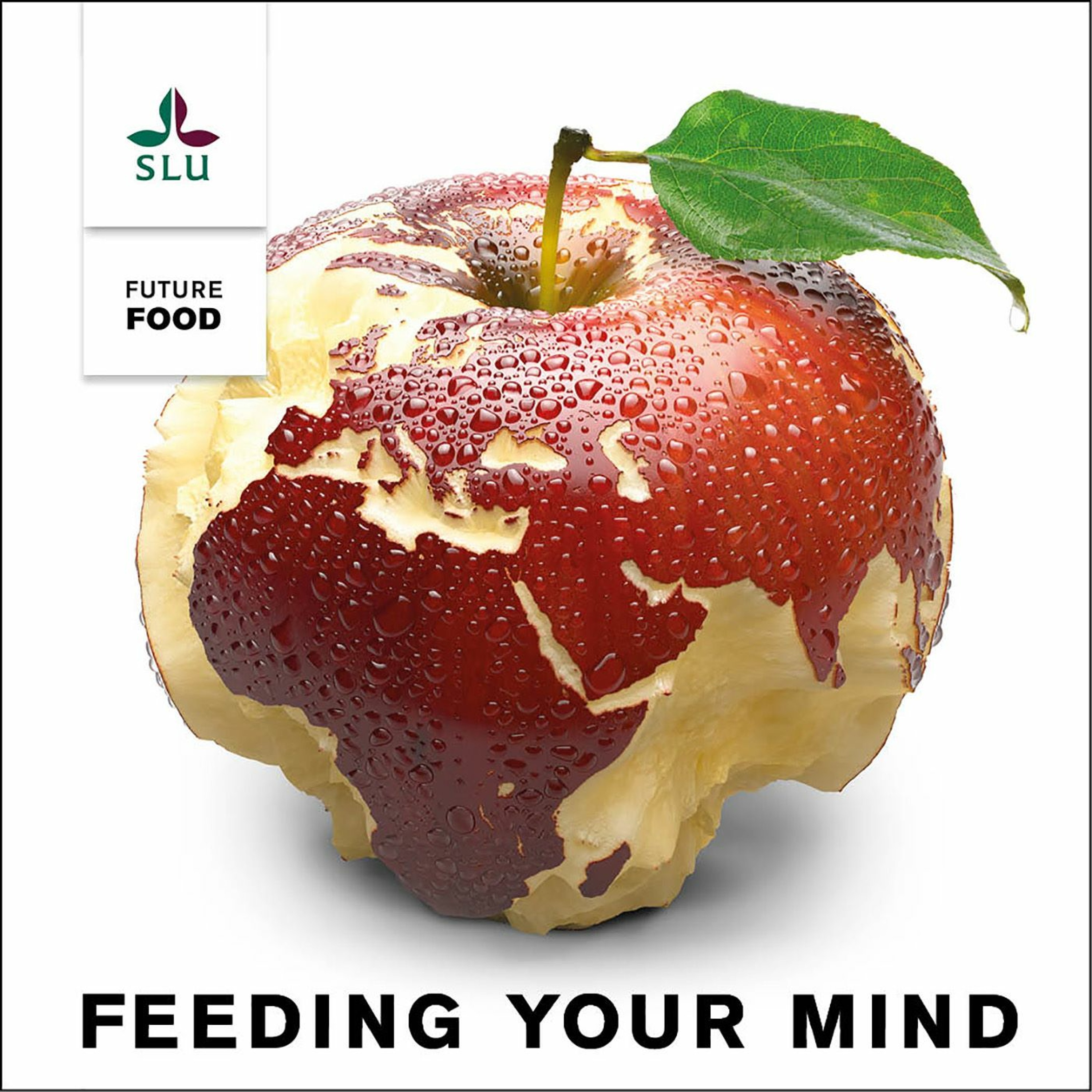 Feeding Your Mind