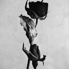 Soul and 808z Produced by Devito 808z