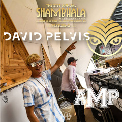 David Pelvis LIVE at The Amphitheatre - Shambhala 2018