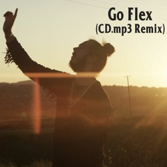 Go Flex (CD.mp3 Remix)