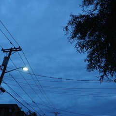 One Midi Patch, One Sample, One Crippling Cold Assignment 2