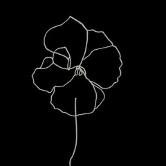 Back To Black (Cover)