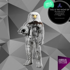 Thundercloud  "This Is The Night"   Hard Techno Mix