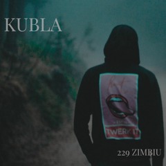 229 Zimbiu