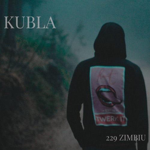 229 Zimbiu