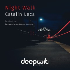 Catalin Leca - Night Walk