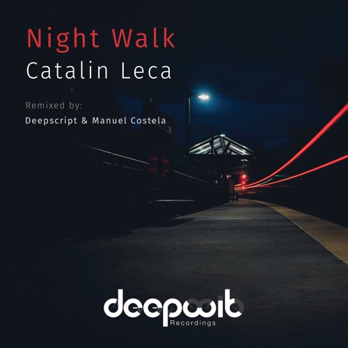 Catalin Leca - Night Walk