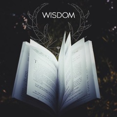 Dolexil - Wisdom (Clip)