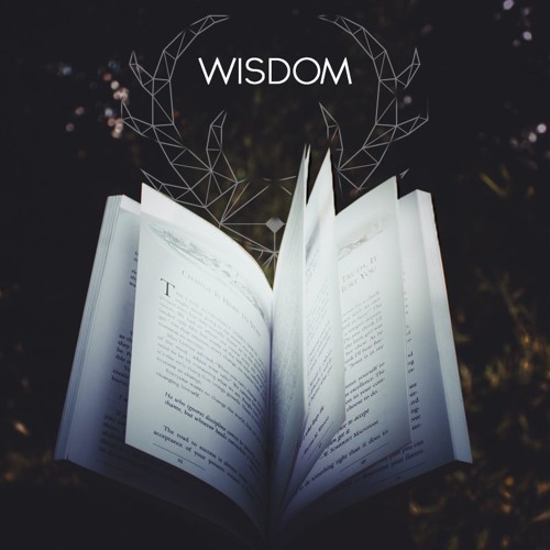 Dolexil - Wisdom (Clip)