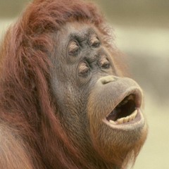 ZiNZiYETi - Just Waking Up