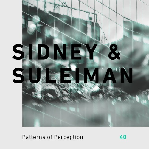 Patterns of Perception 40 - Sidney & Suleiman