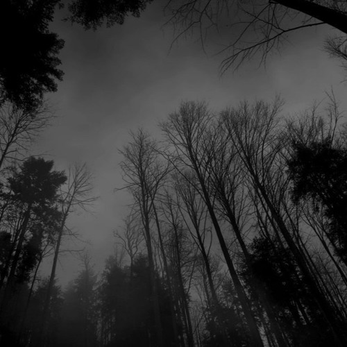 Striborg Style Ambient Intro Idea (Demo/WIP)