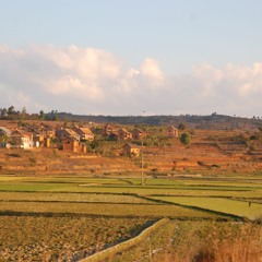 FINARITRA NY VORONA AO AN'ALA