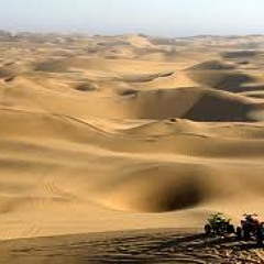 Mi-ma-muh macht die bunte Kuh