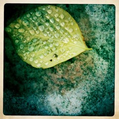 Fall'ing Full with the Moon