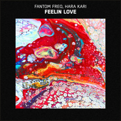 Fantom Freq, Hara Kari - Feelin Love
