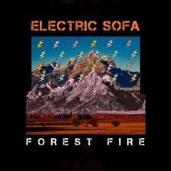 Forest Fire