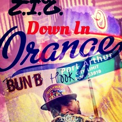 Z.I.G. - Down In Orange (Bun B of UGK Hook)(Prod. by D-Trax)