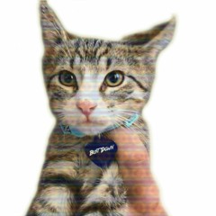 Bust Down (Prod. Drago)