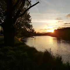 bby ur out - mac demarco cover